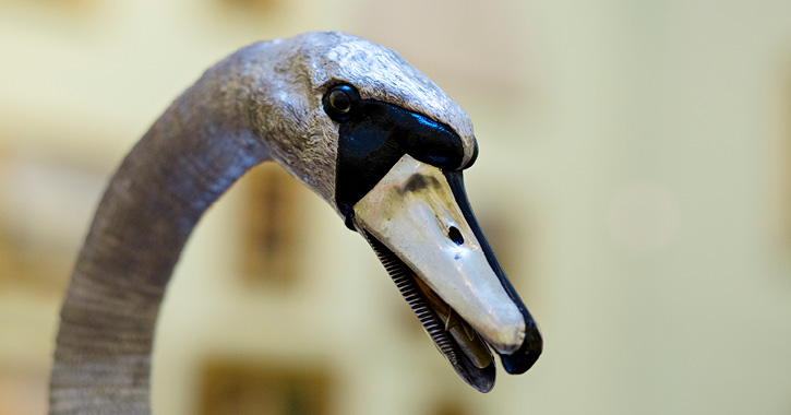 Close up view of the head of The Silver Swan at The Bowes Museum